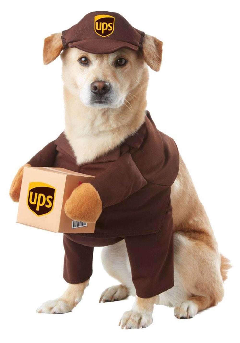 California Costumes UPS Pal dog costume small closeup box; ideal for entertaining porch deliveries.
