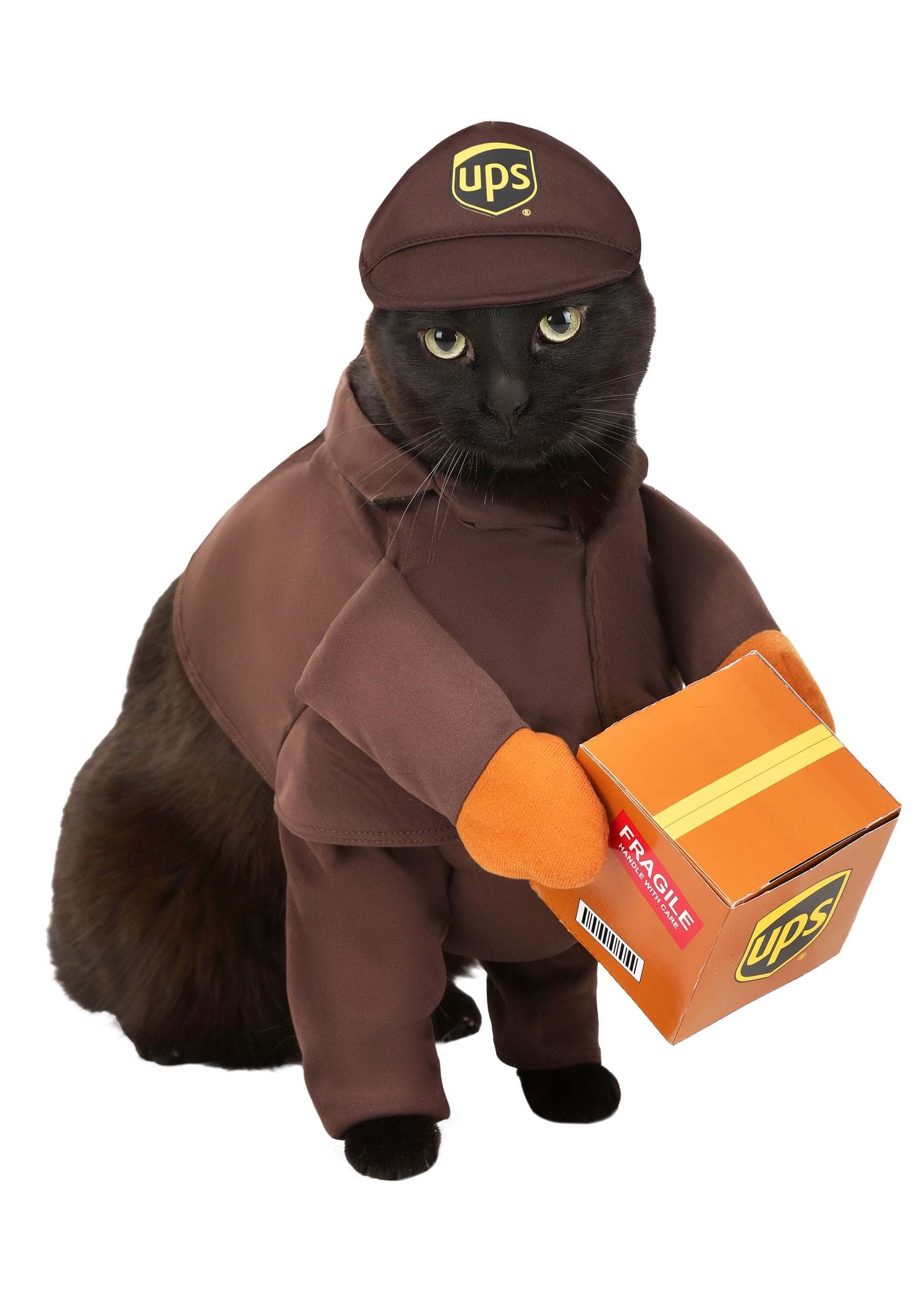 California Costumes UPS Pal dog costume small wearable; great for costume parties and photo sessions.
