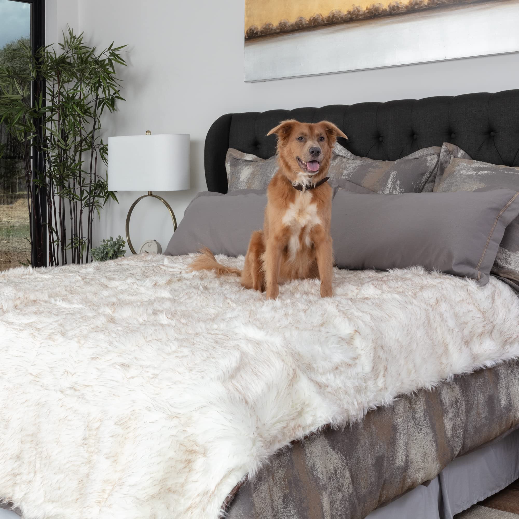 Callarome blanket in crate, versatile and cozy for pets.