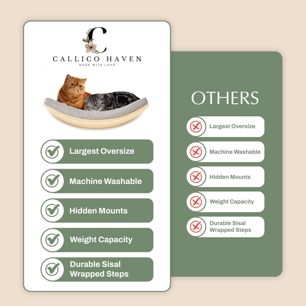 Callico Haven modular wall system lets you build a climbing setup.