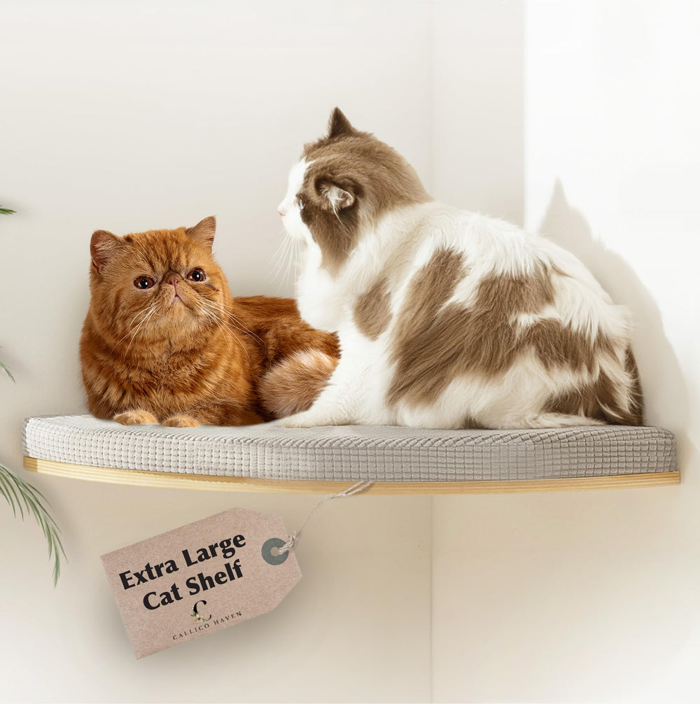 Callico Haven Corner Cat Wall Shelf front view shows a sturdy, space-saving perch for two cats.