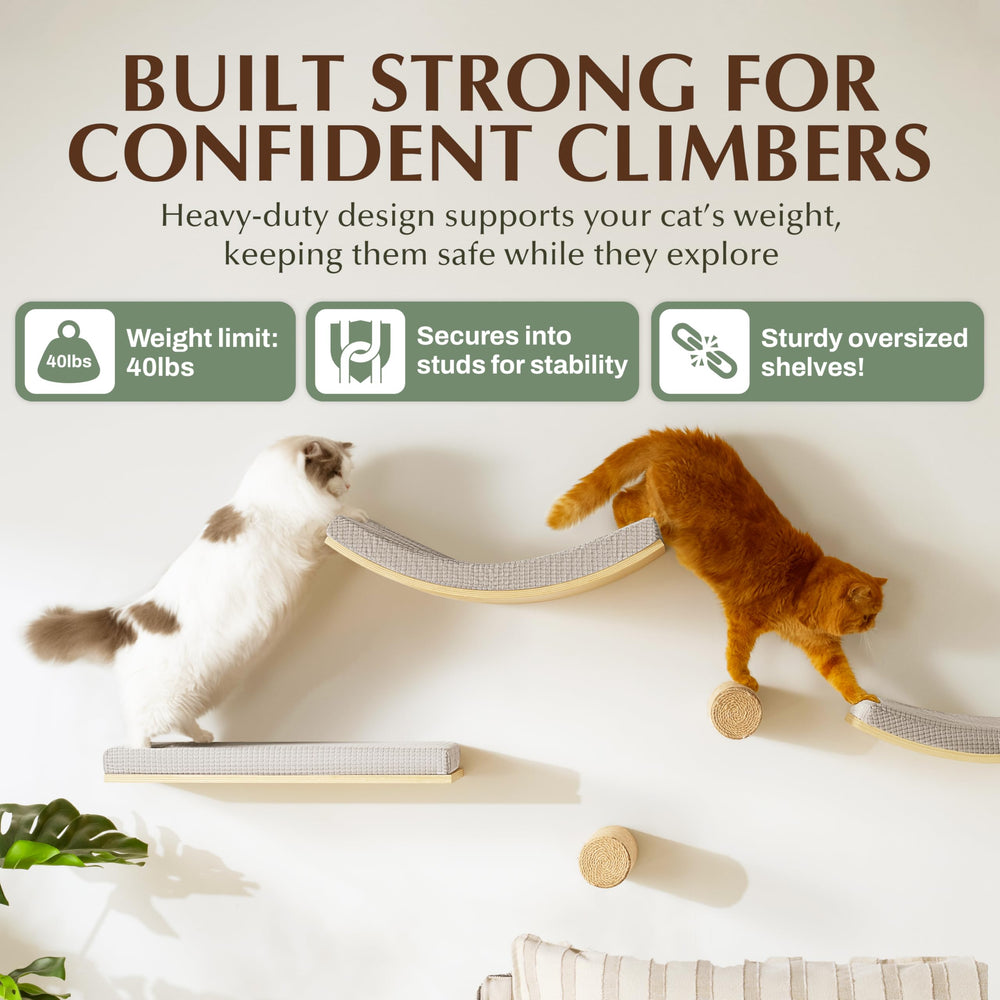 Callico Haven sturdy wall-mount supports heavy weight for rambunctious cats.