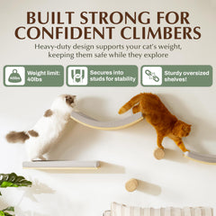 Callico Haven sturdy wall-mount supports heavy weight for rambunctious cats.
