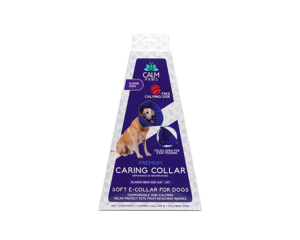 Calm Paws caring collar XL calming-disk close-up with essential oils for calming routine