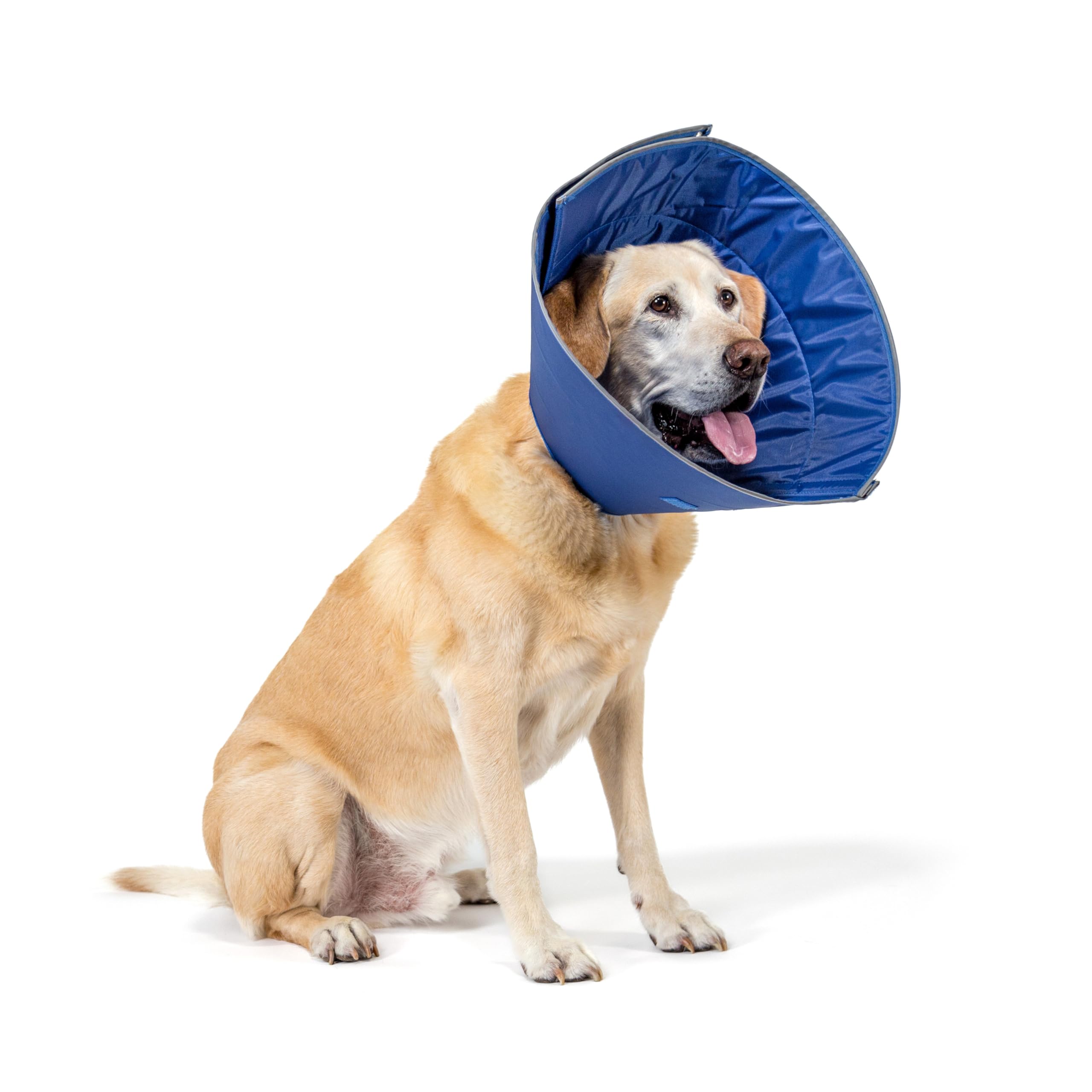 Calm Paws caring collar XL soft-edge close-up showing gentle protection during recovery