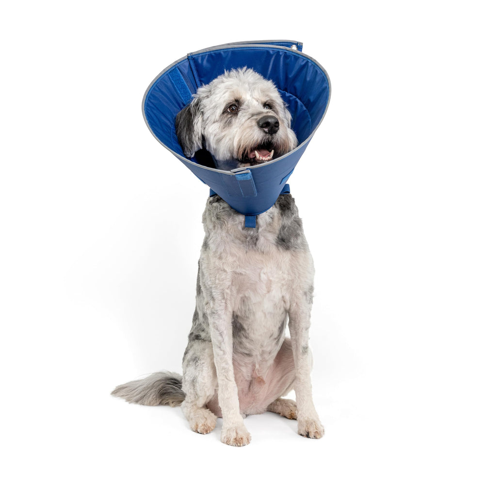 Calm Paws dog caring collar calming-disk provides soothing scent during wear