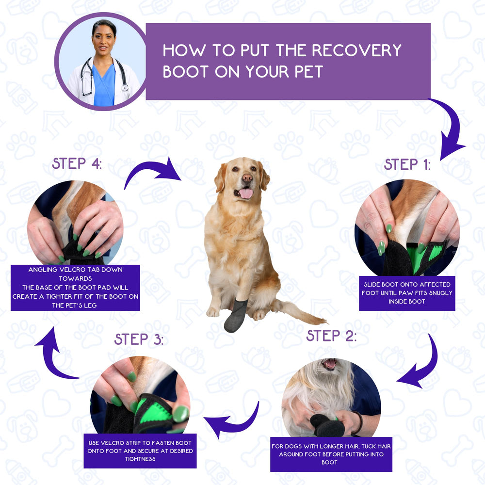Calm Paws Paw Protector XL healing-site-protection suggests clean, protected paw area