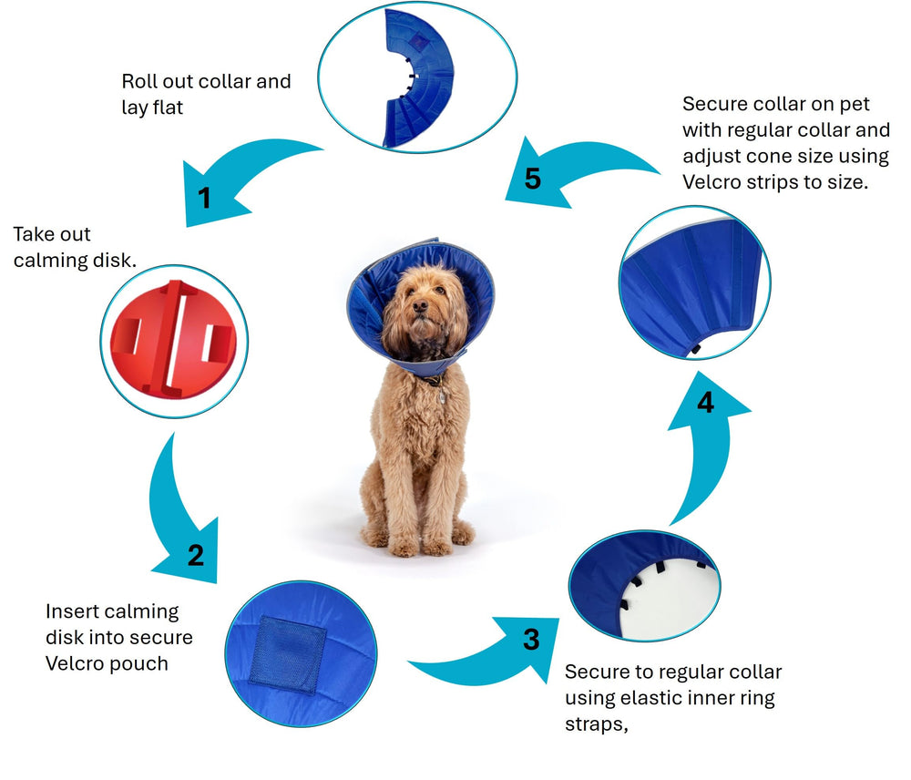 Calm Paws Protective Cone shielding wounds and preventing licking after surgery.