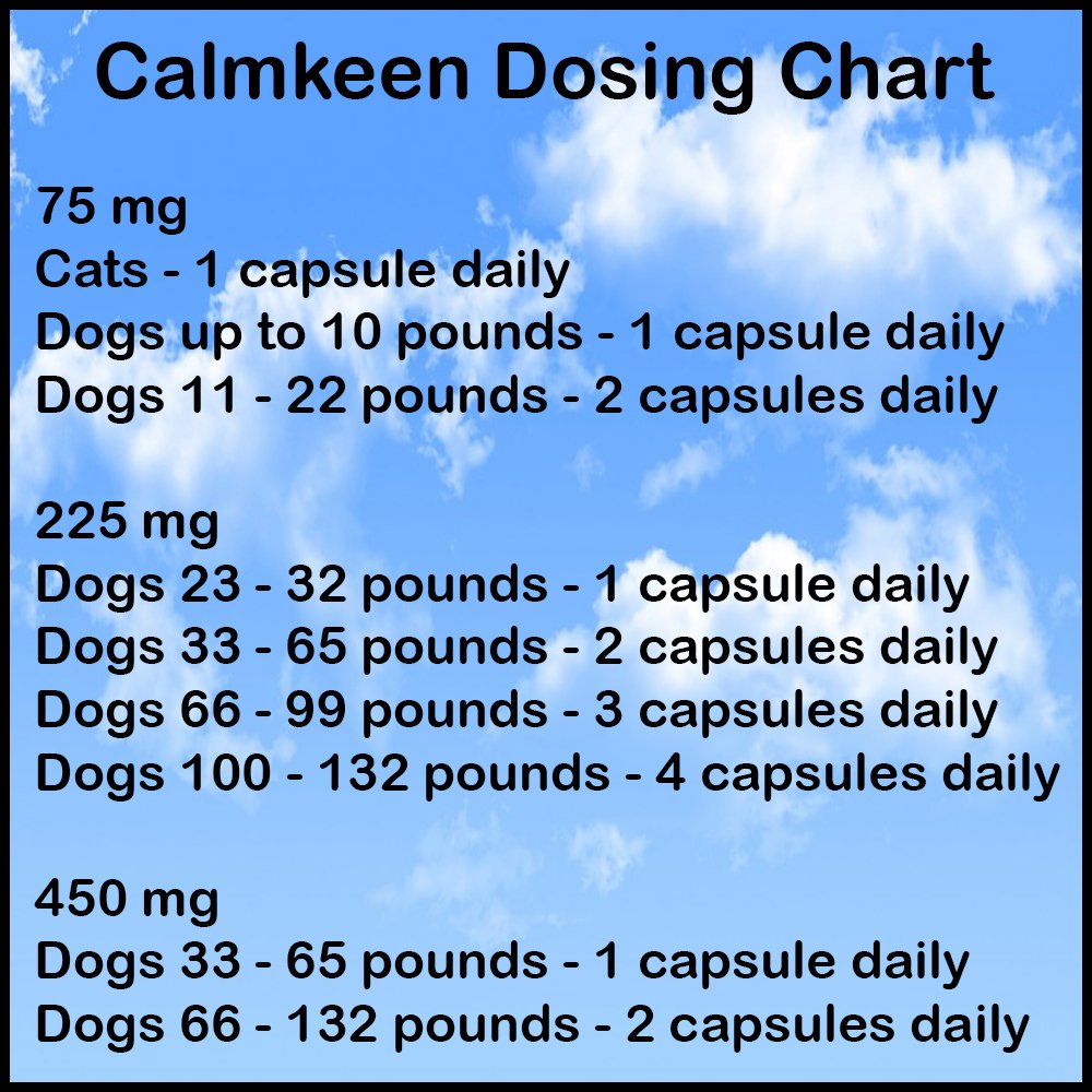 Pets using Calmkeen during storms or vet visits for smoother handling and comfort
