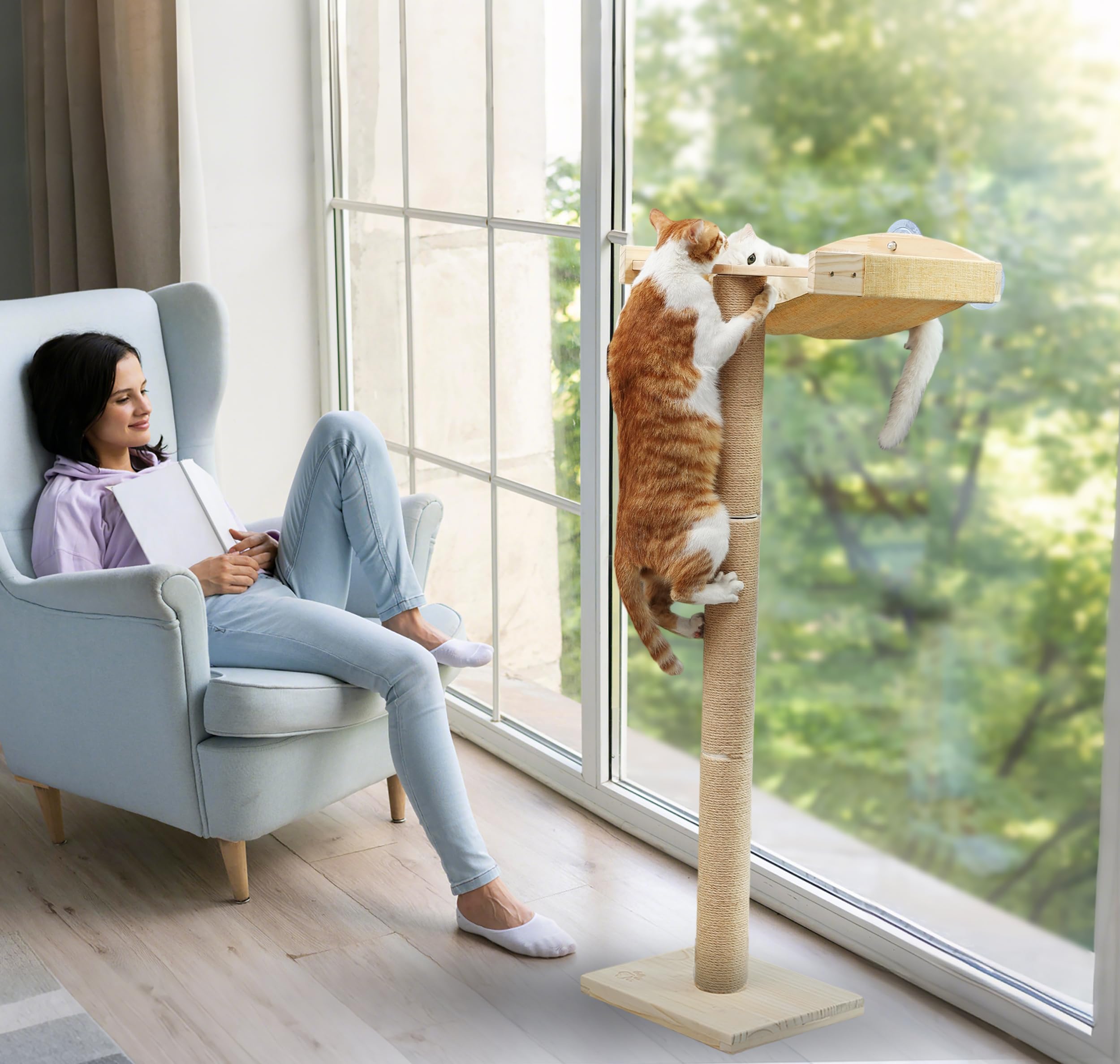 Caloreduce cat window perch shows your cat watching birds from an elevated spot.