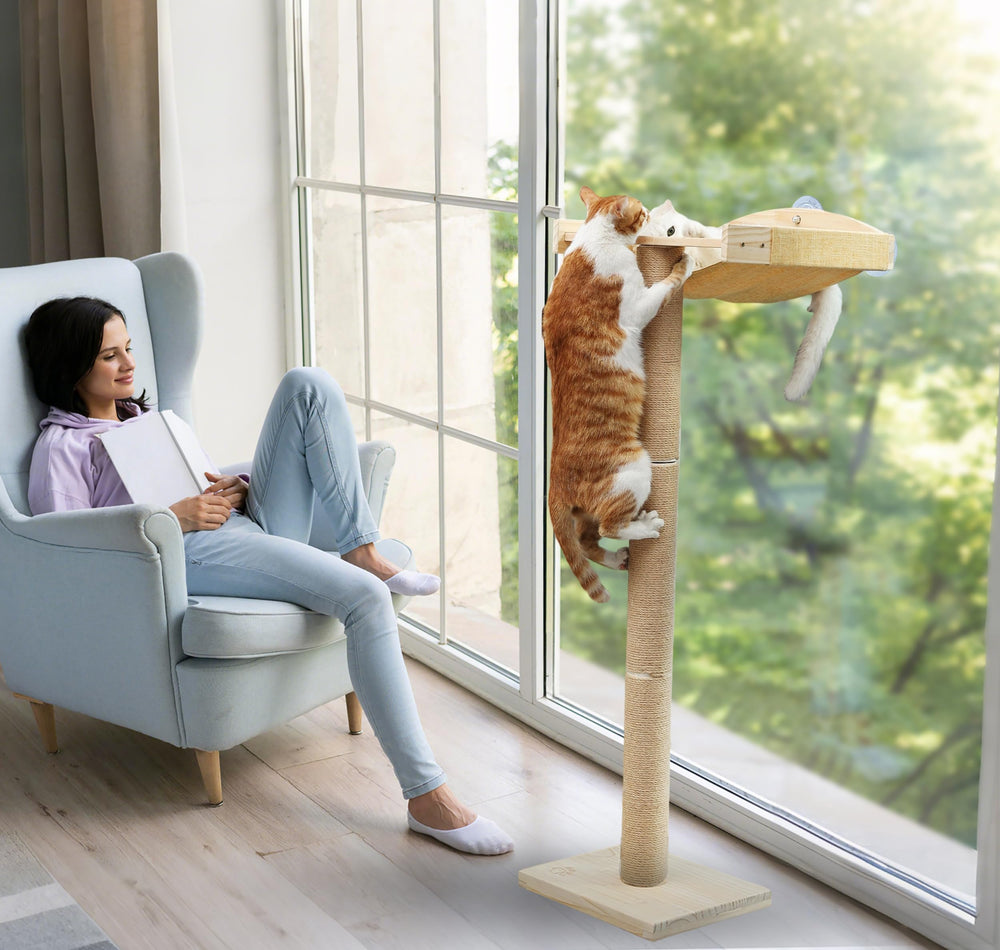Caloreduce cat window perch shows your cat watching birds from an elevated spot.