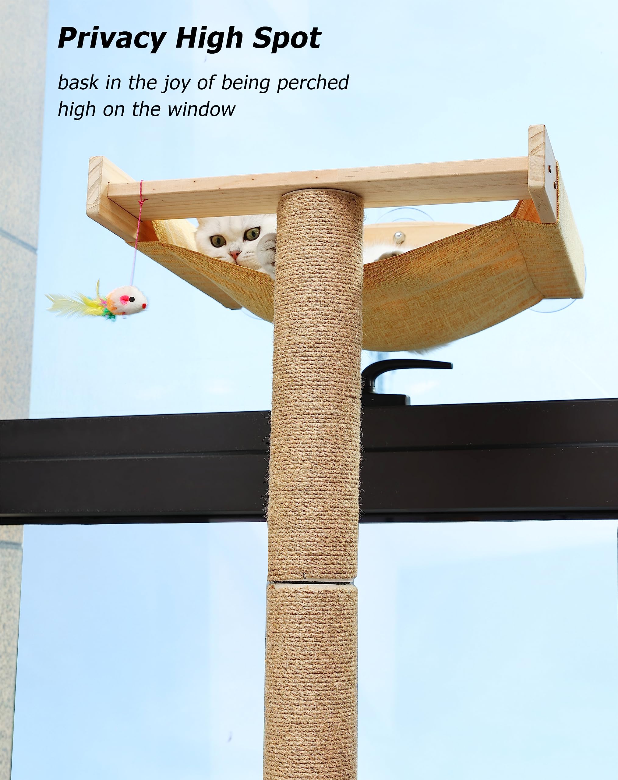 Caloreduce cat window perch supports up to 45 lbs for safe lounging.