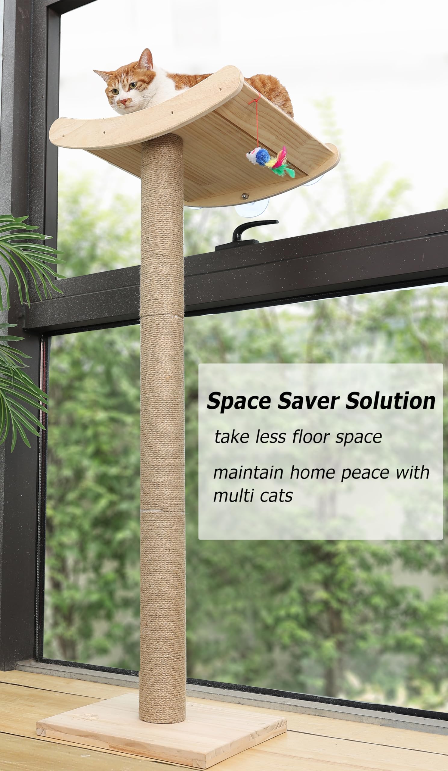 Caloreduce window perch offers safe lounging with three strong suction cups