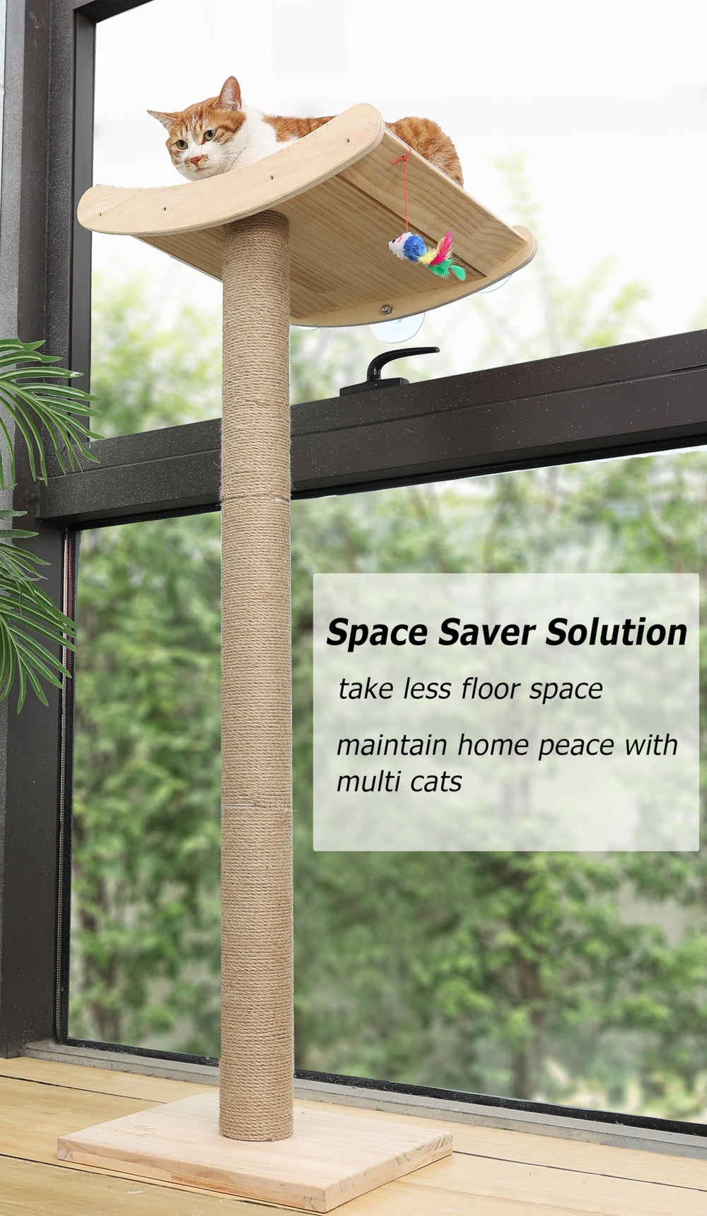 Caloreduce window perch offers safe lounging with three strong suction cups
