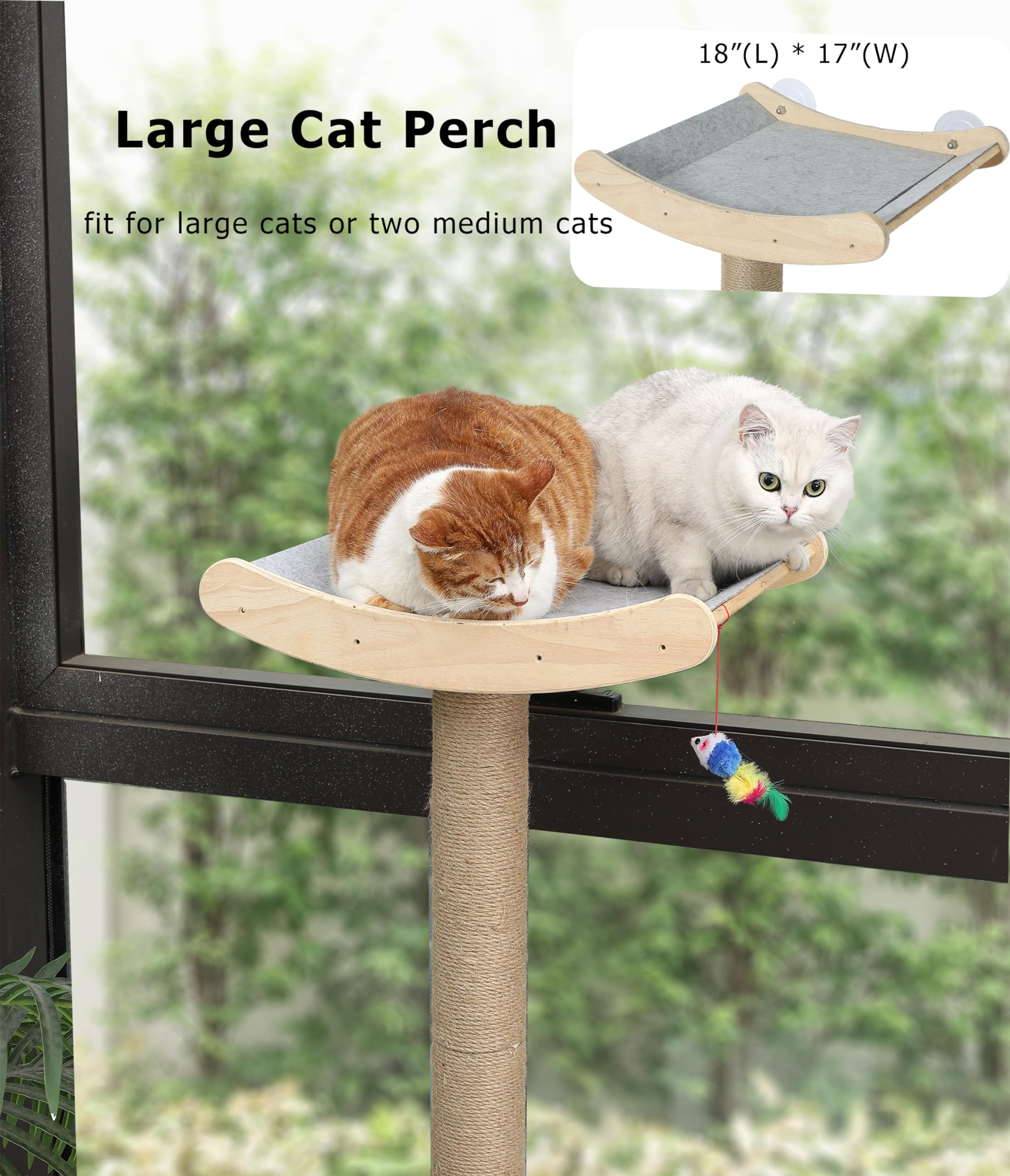 Caloreduce cat perch enhances perching comfort for Maine Coon and large cats