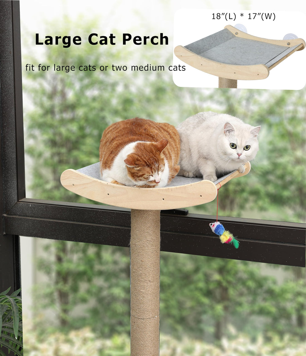 Caloreduce cat perch enhances perching comfort for Maine Coon and large cats