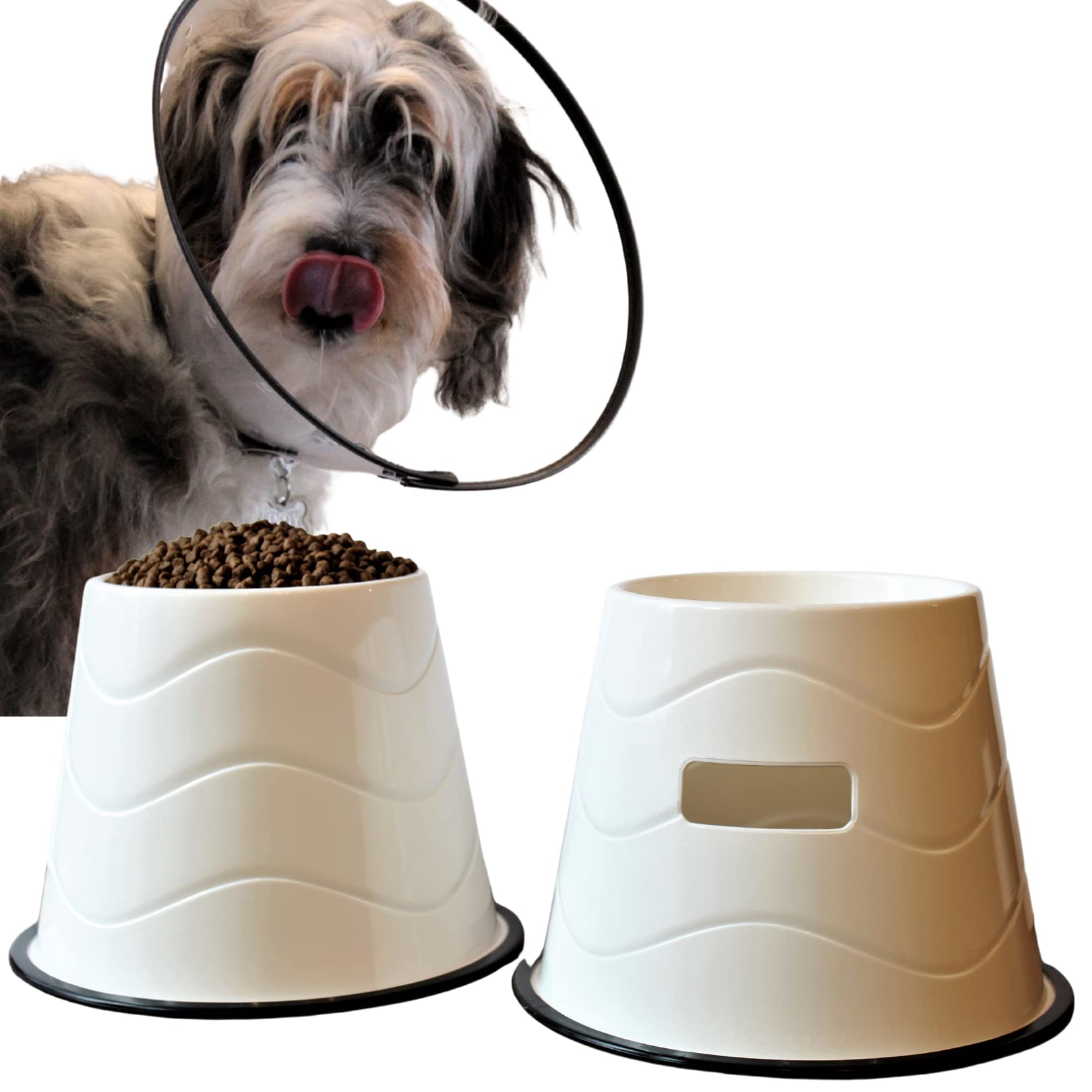 CAM cone-friendly elevated bowls for healing-friendly feeding sessions.