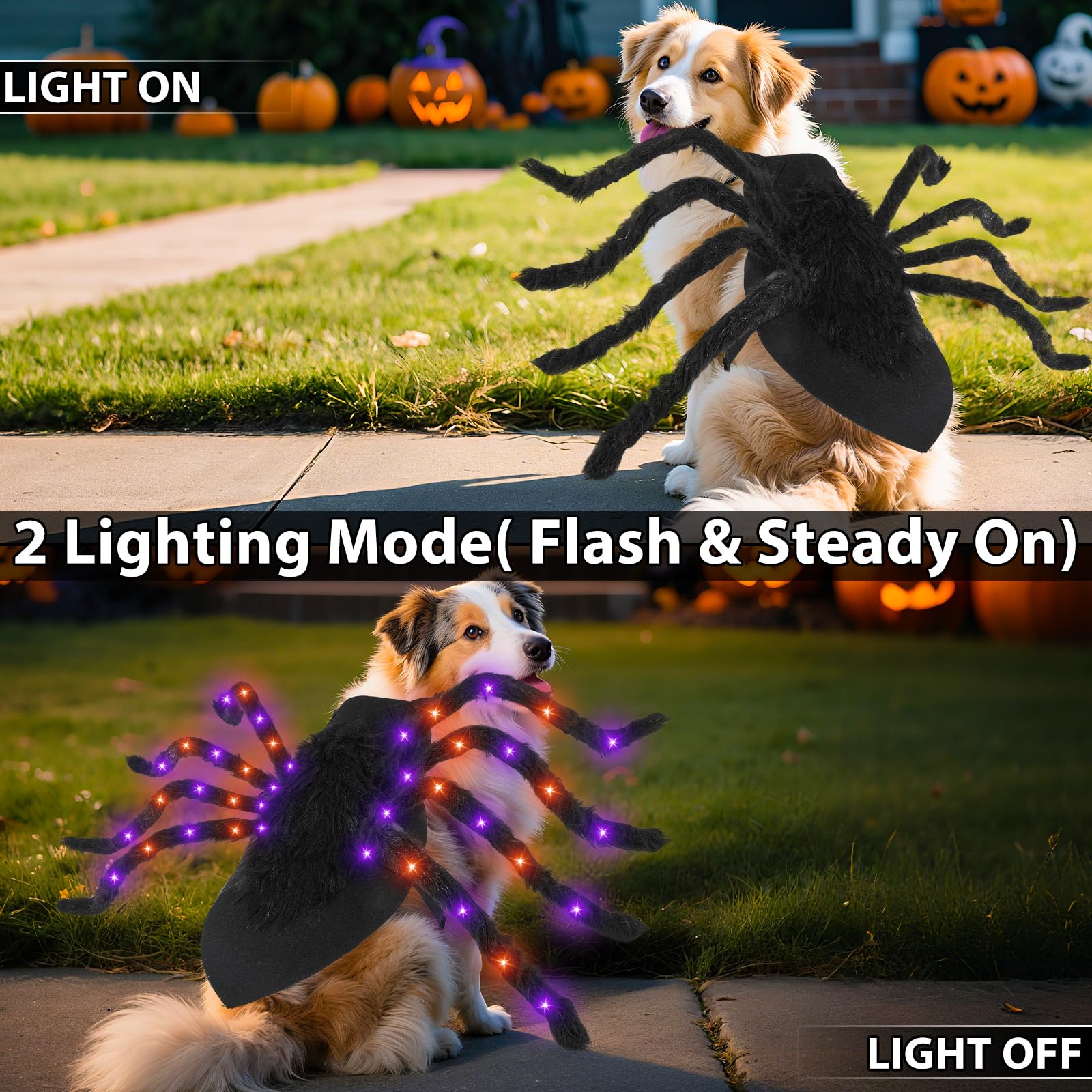 Camlinbo spider dog costume with adjustable neck and chest for a comfy fit