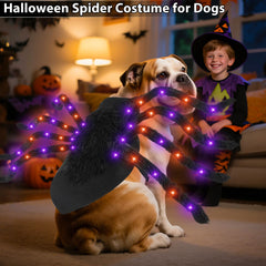 Camlinbo spider dog costume made from soft felt and non-woven fabrics