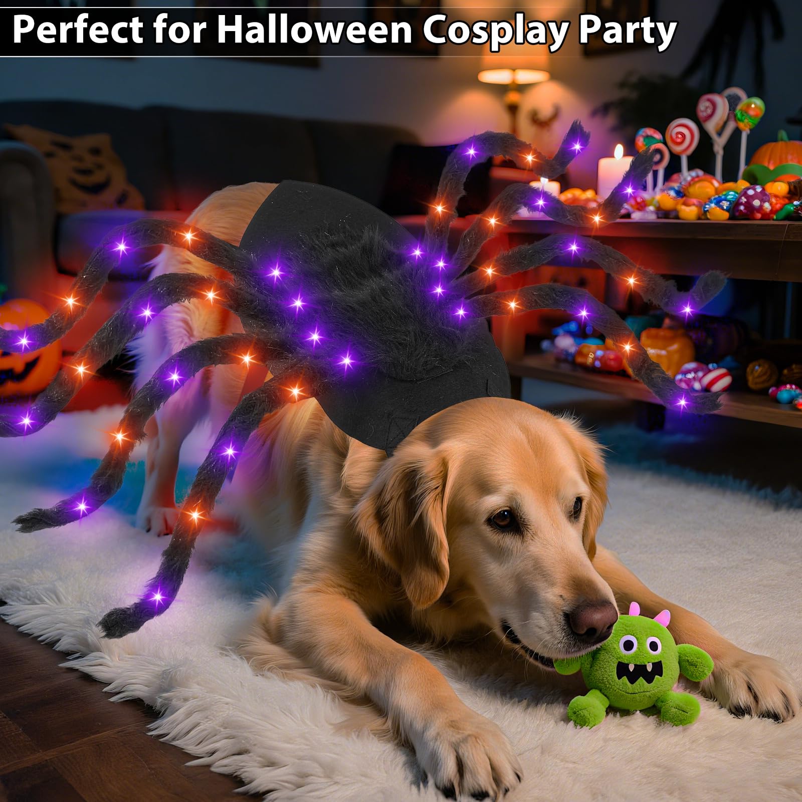 Camlinbo spider dog costume packaging shows unfolded spider size for fit planning