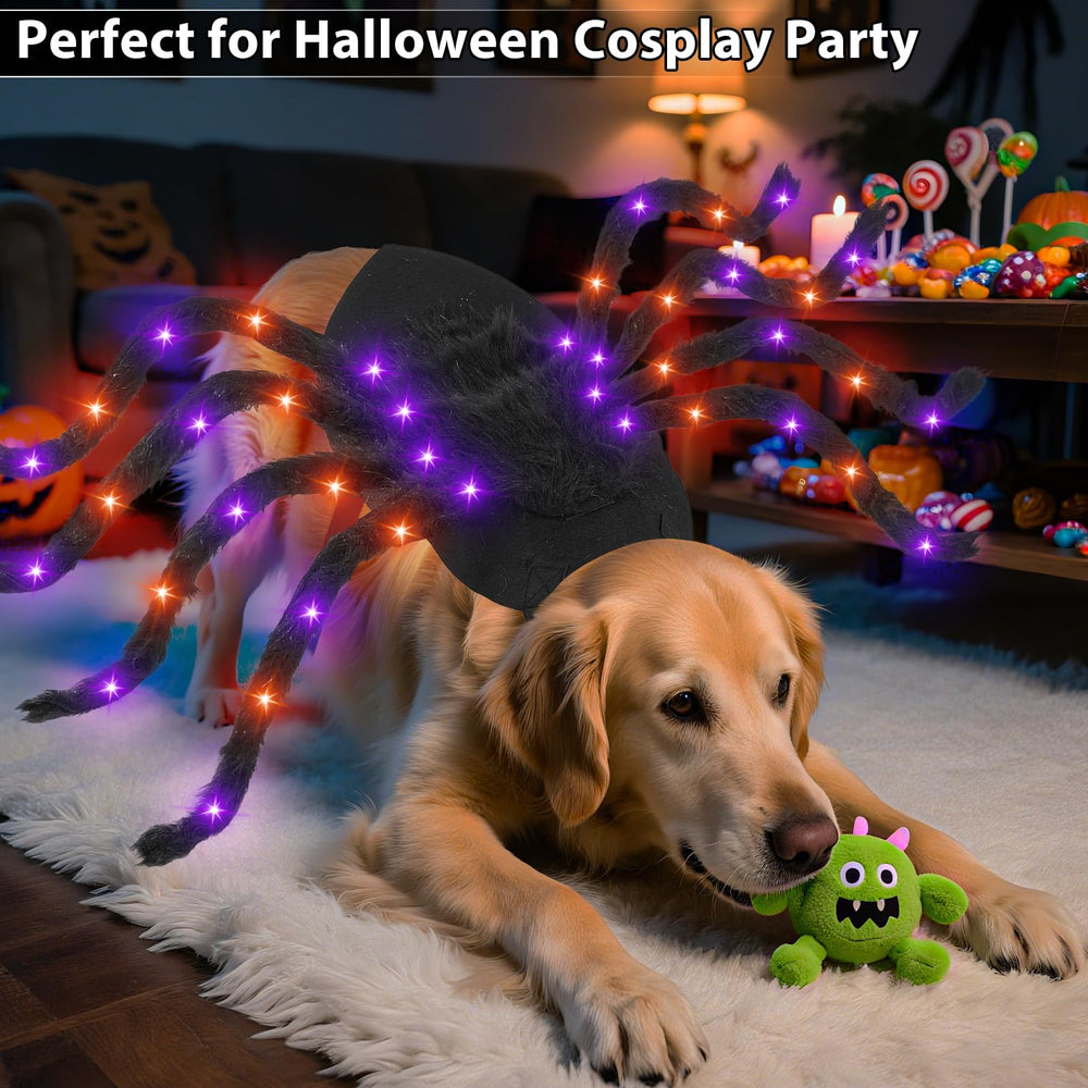 Camlinbo spider dog costume packaging shows unfolded spider size for fit planning