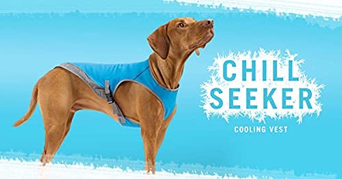 Canada Pooch dog wearing vest at the beach shows quick setup