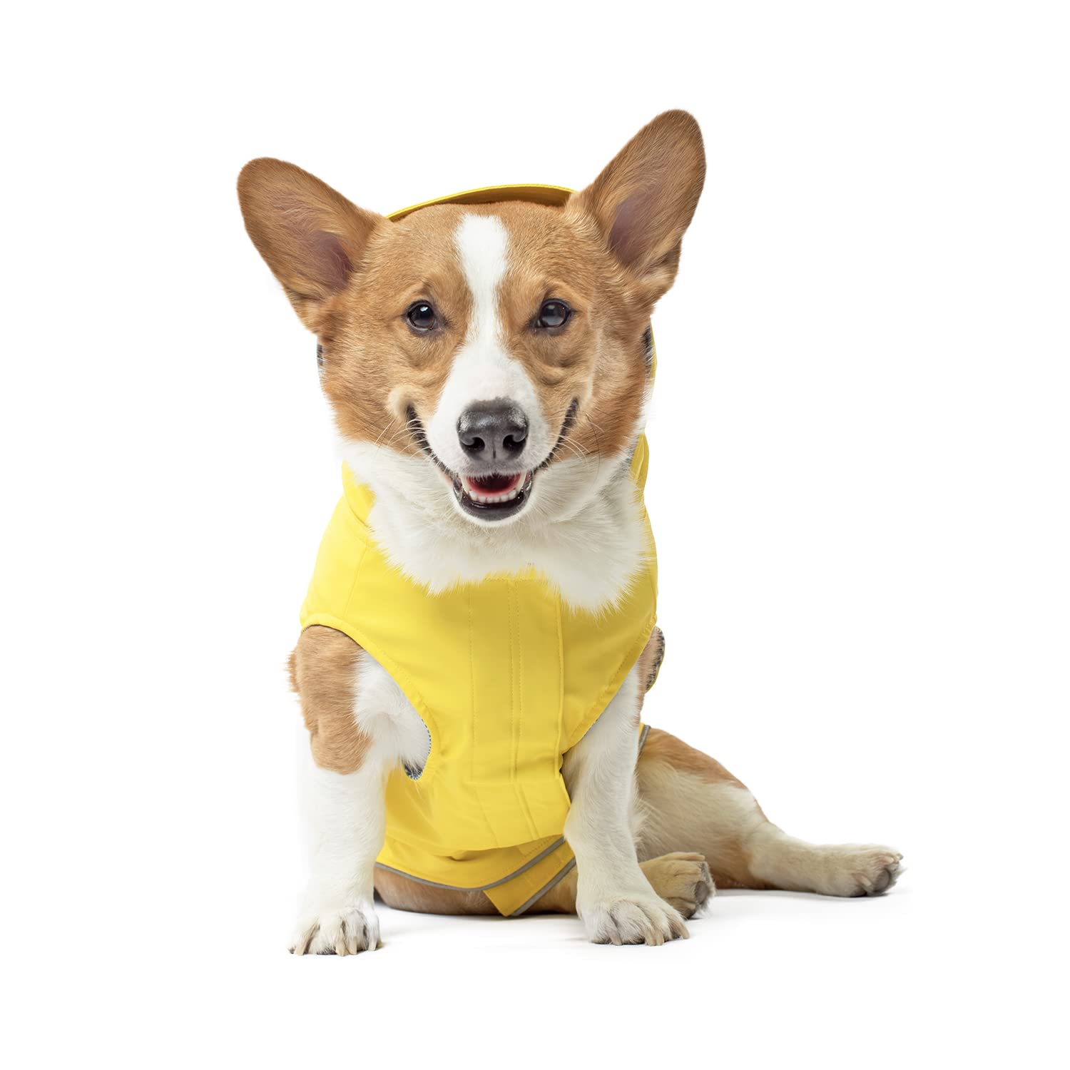 Canada Pooch Torrential Tracker dog rain jacket worn on a dog, keeping them dry