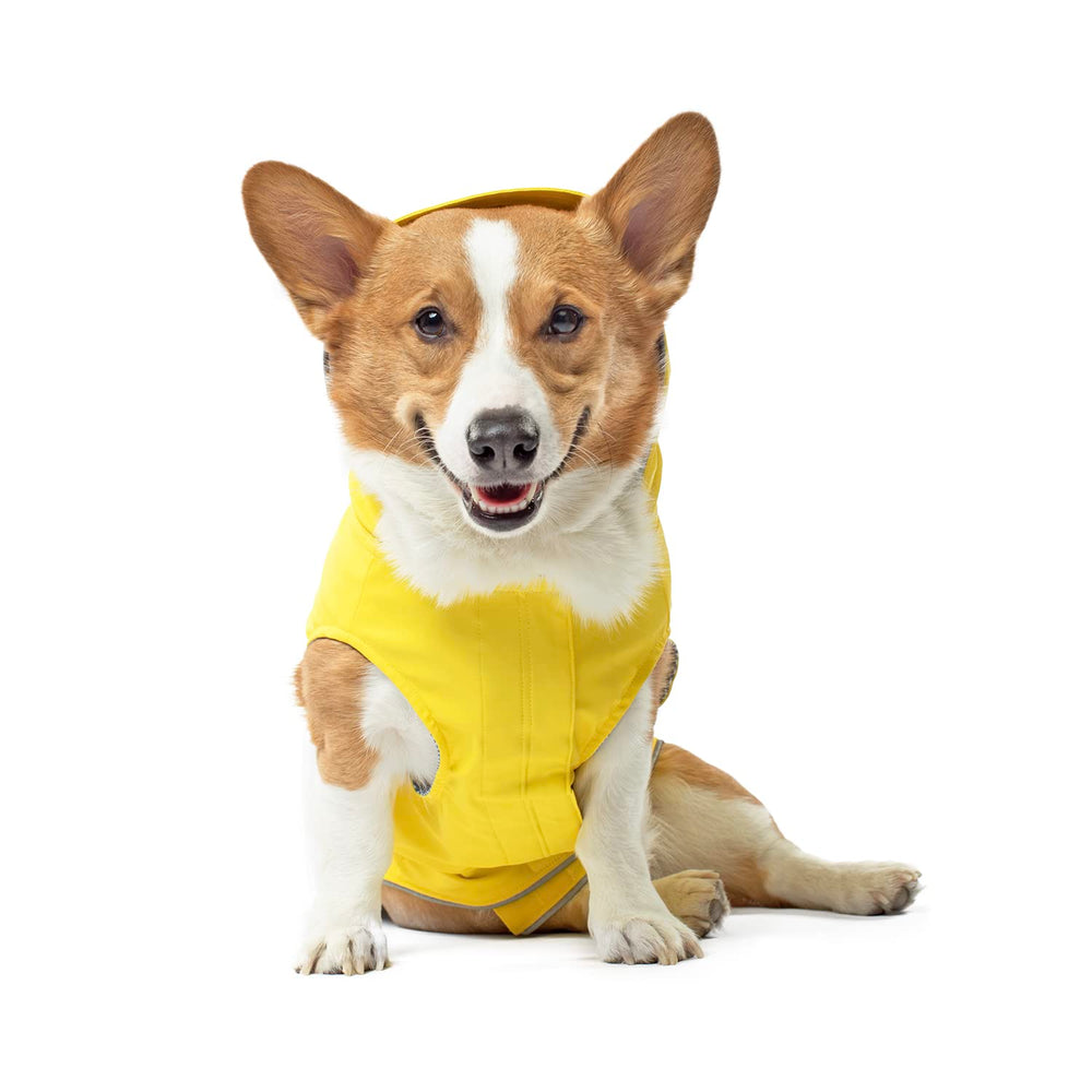 Canada Pooch Torrential Tracker dog rain jacket worn on a dog, keeping them dry