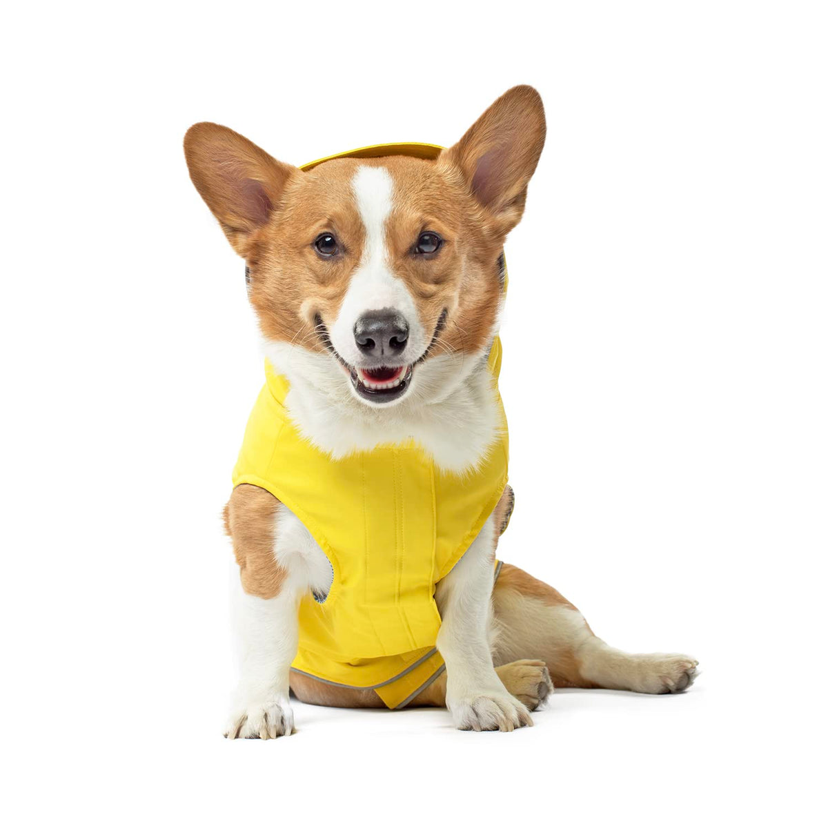 Canada Pooch Torrential Tracker dog rain jacket worn on a dog, keeping them dry