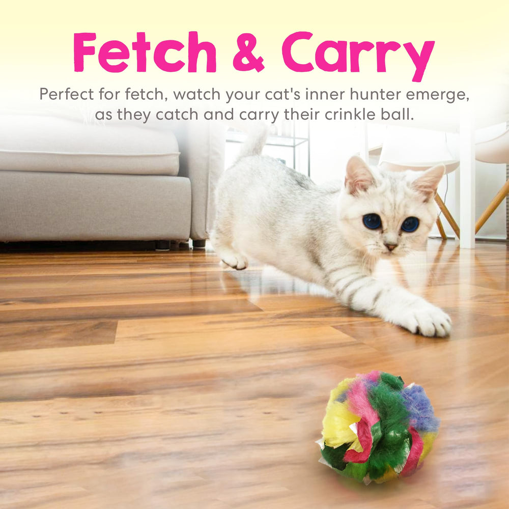 Cancor Innovations cat crinkle balls one-point-five-inch action—kittens chase and fetch.