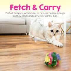 Cancor Innovations cat crinkle balls one-point-five-inch action—kittens chase and fetch.