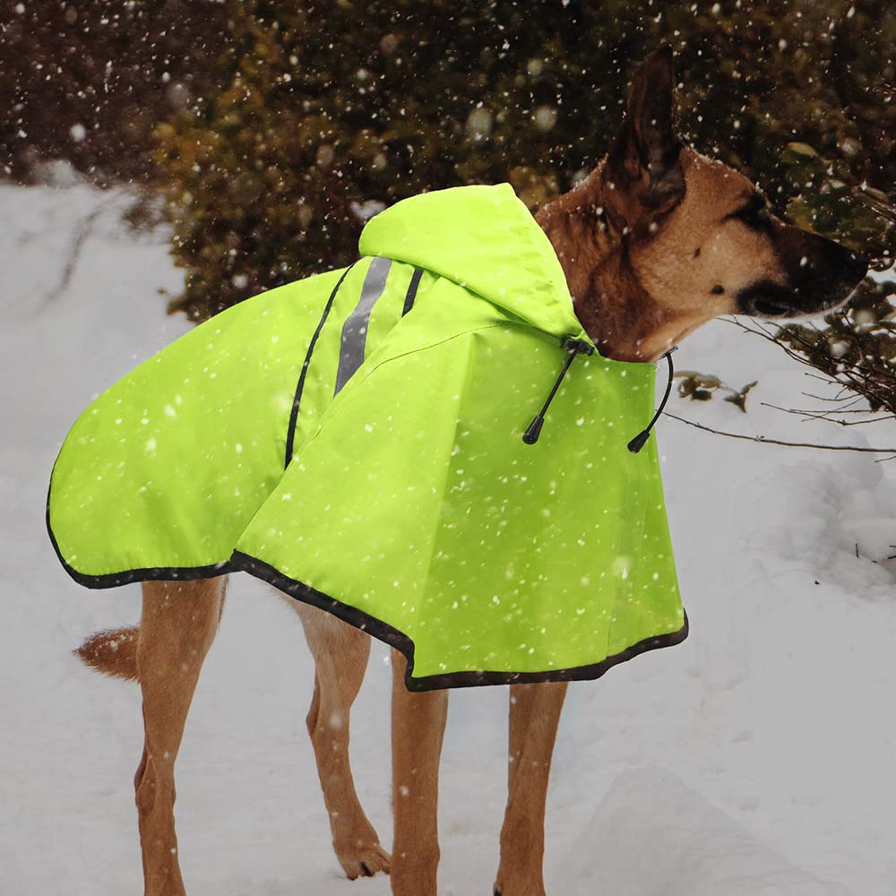 Candofly dog raincoat fashionable poncho green for chic canine walks