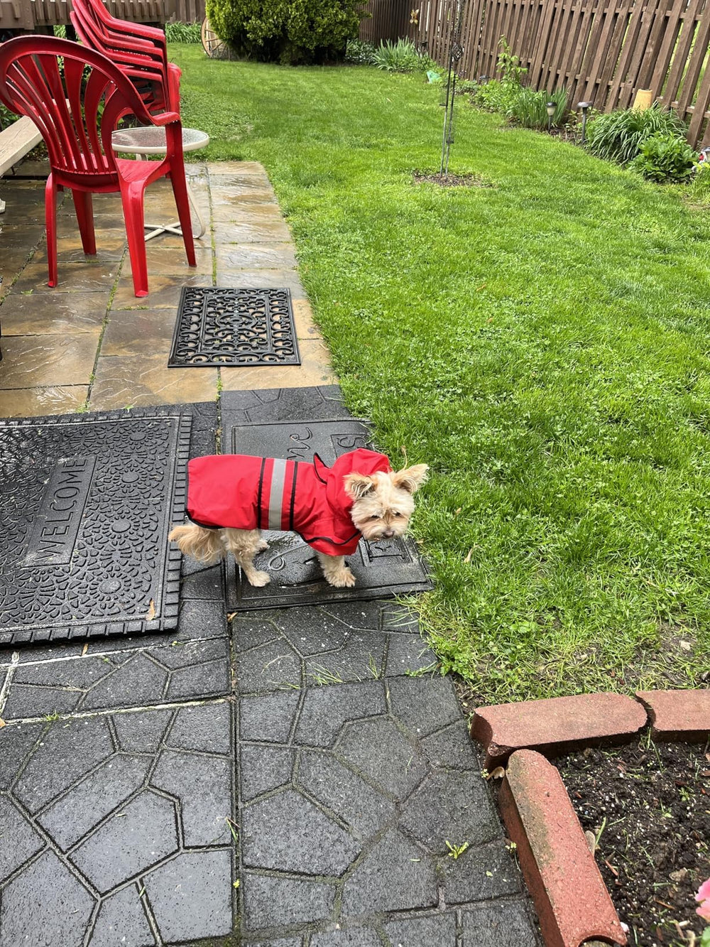 Candofly dog raincoat available in S to XL sizes for all breeds.