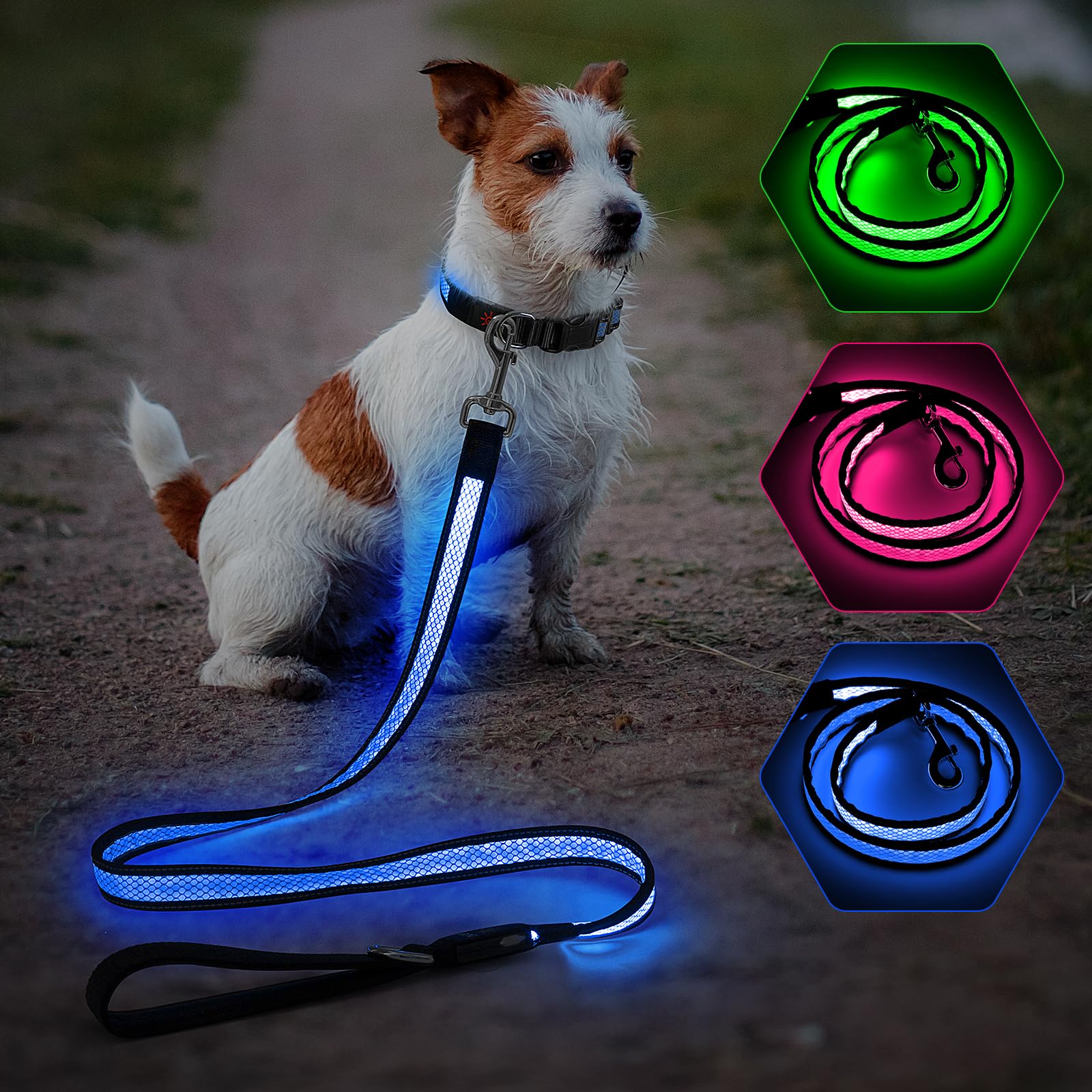 Candofly 4ft LED dog leash blue 360-swivel-d-ring shows tangle-free control and easy accessories.