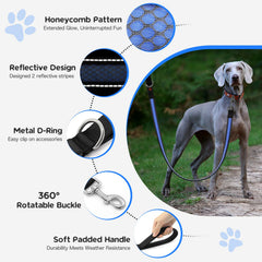 Candofly 4ft LED dog leash blue slow-flash-mode demonstrates gradual visibility for calmer strolls.