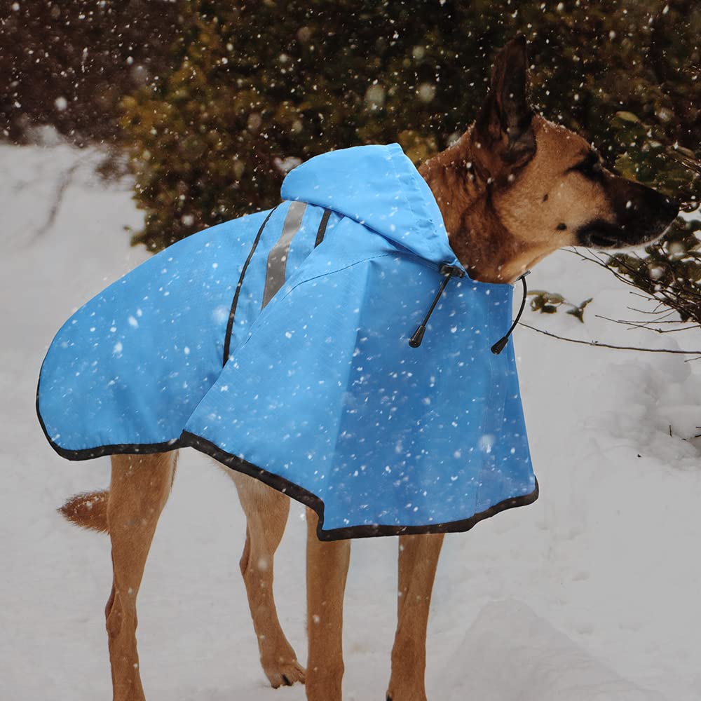 Candofly lightweight dog raincoat stays comfortable for all-day wear.