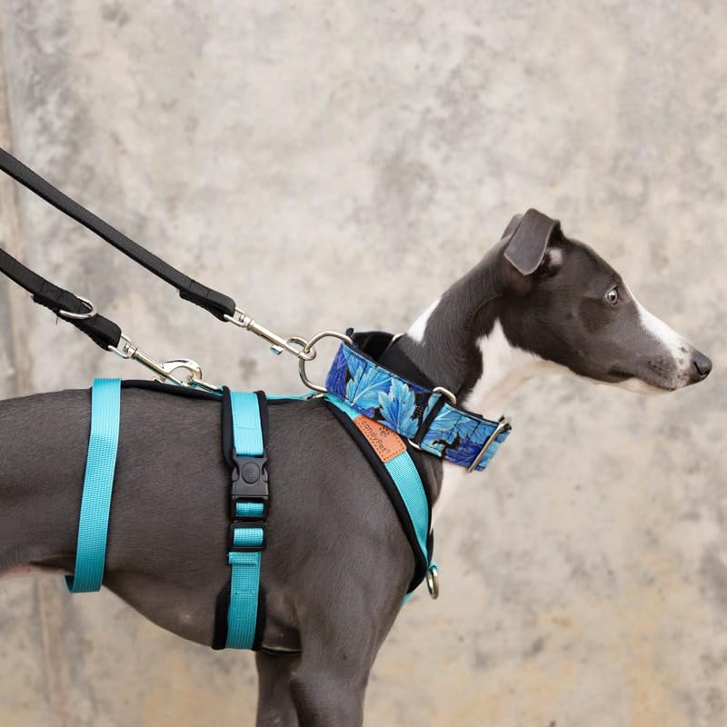 CandyPet Blue harness worn by dog on a run illustrates breathable durable design.