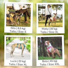 CandyPet Escape Harness waist-strap view highlighting anti-escape feature during outdoor strolls.