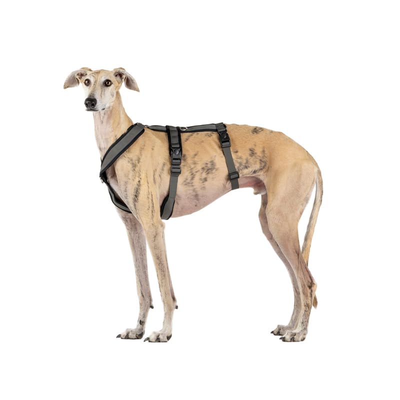 CandyPet Neoprene closeup shows soft breathable interior for all day comfort.