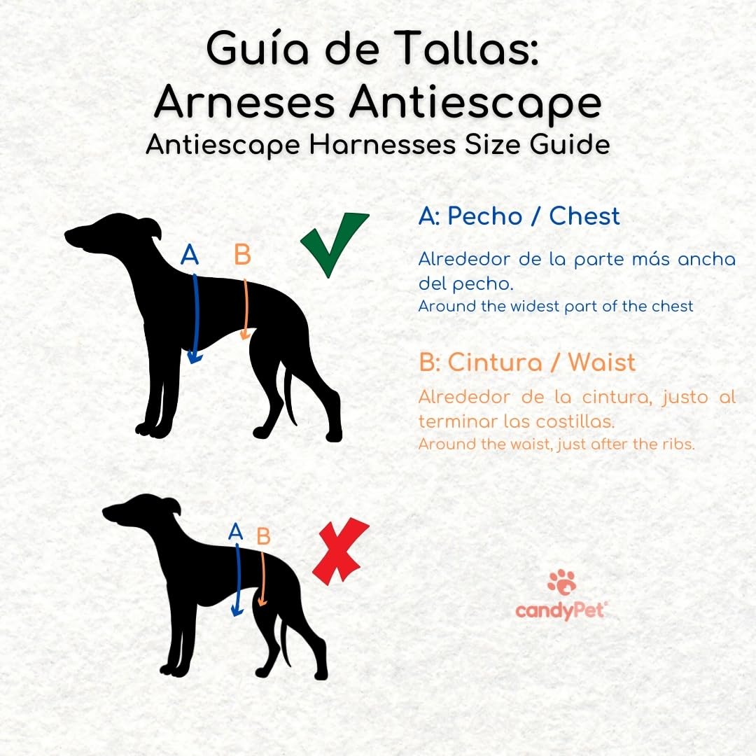 CandyPet Size-guide graphic helps you choose the correct harness size.