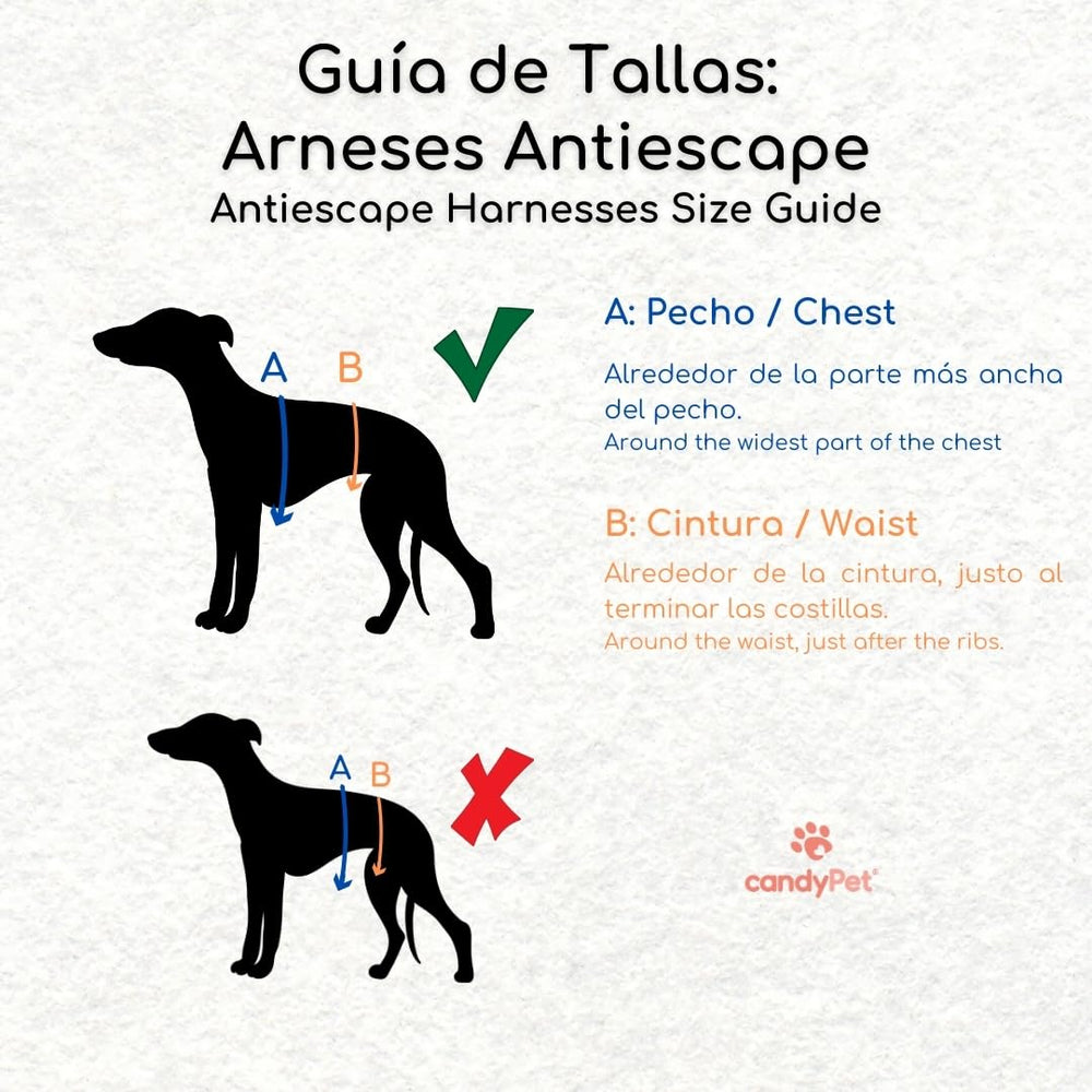 CandyPet Size-guide graphic helps you choose the correct harness size.
