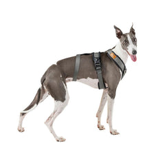 CandyPet 3Point Escape Harness chest ring anti-pull for easier control