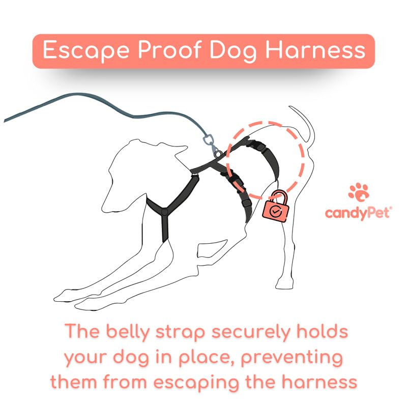 CandyPet waist strap detail helps prevent escapes during activity