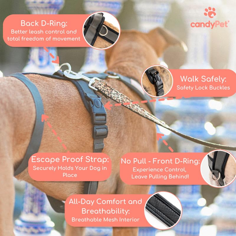 CandyPet harness Y-shape design closeup underlines freedom of movement.