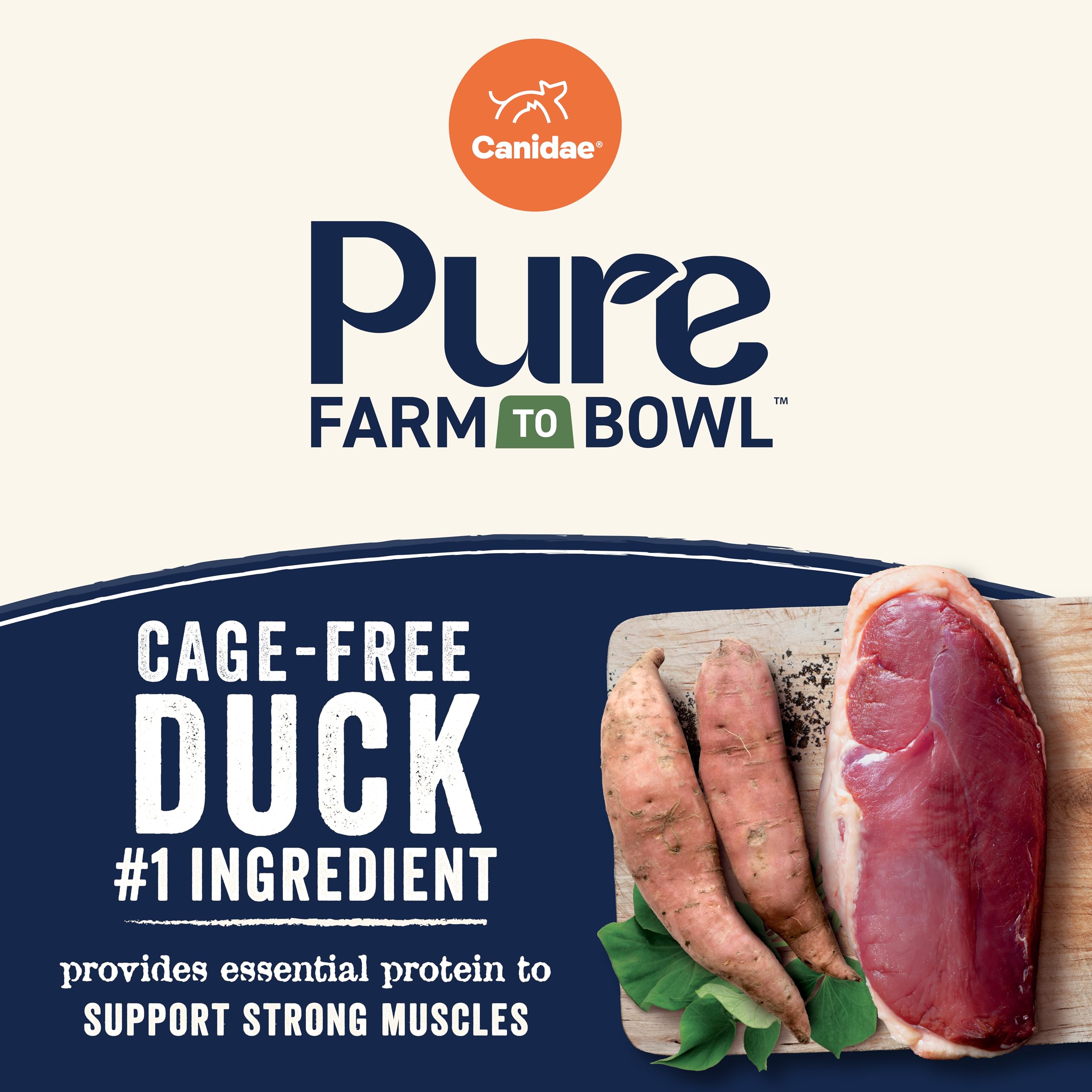 CANIDAE Pure Farm to Bowl 10-ingredient recipe glimpse shows minimal ingredients