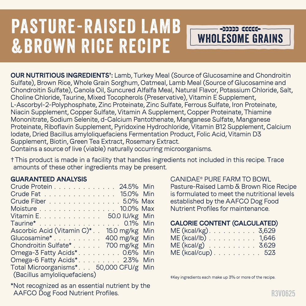 Canidae Pure Farm to Bowl-dog-meal-serving-setup reflects real-life feeding routine.