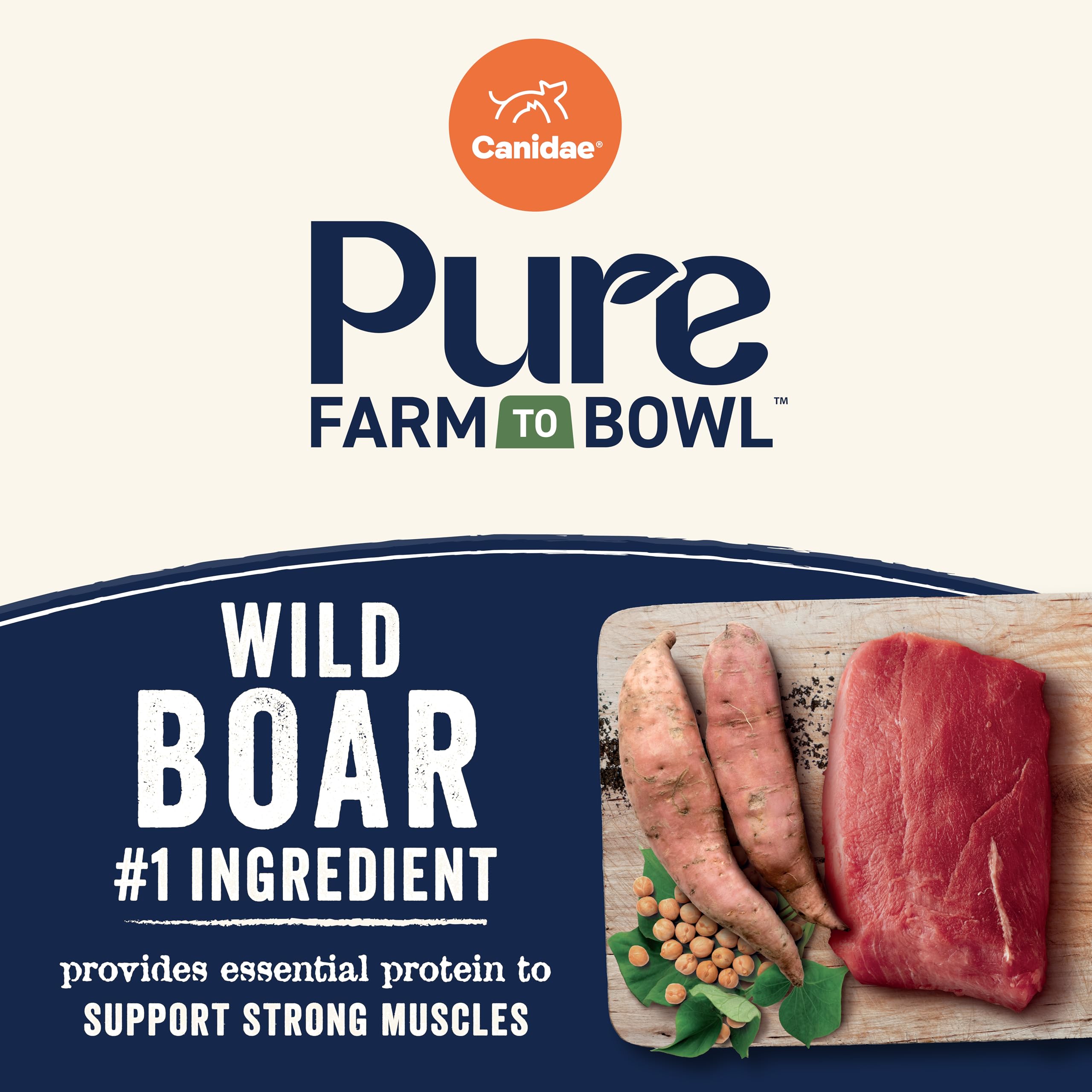 Canidae Pure Garbanzo beans closeup illustrating fiber-rich ingredients