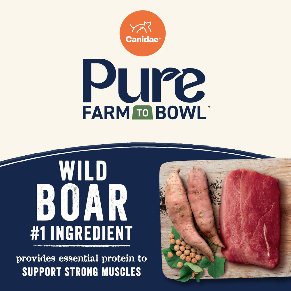 Canidae Pure Garbanzo beans closeup illustrating fiber-rich ingredients