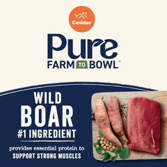 Canidae Pure Garbanzo beans closeup illustrating fiber-rich ingredients