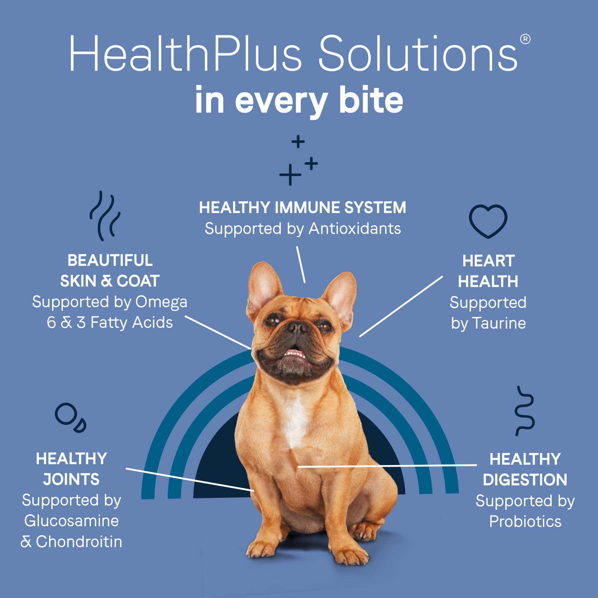 CANIDAE Pure Petite antioxidants-probiotics label suggests digestive balance and immune support.